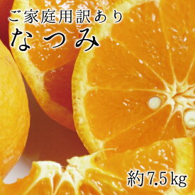 楽天市場 なつみ みかん フルーツ 果物 食品の通販 楽天市場 なつみ みかん フルーツ 果物 食品の通販