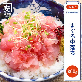 【ふるさと納税】【訳あり】紀州勝浦産まぐろ　中落ち 80g×10/まぐろ マグロ 鮪 勝浦
