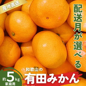 【ふるさと納税】 ＼配送月が選べる！／ 訳あり 家庭用 有田みかん 和歌山 S～Lサイズ大きさお任せ 5kg / みかん フルーツ 果物 くだもの 有田みかん 蜜柑 柑橘