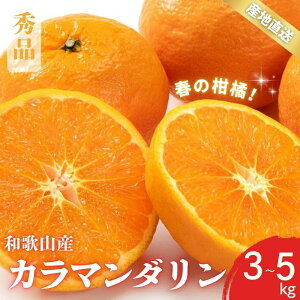 yӂ邳Ɣ[Łz ys\zGi J}_ Ȃ t݂̂ a̎R Lc S`2LTCY 傫C 3kgE5kgy4{`5{ɏz/ ݂ t[c ʕ  