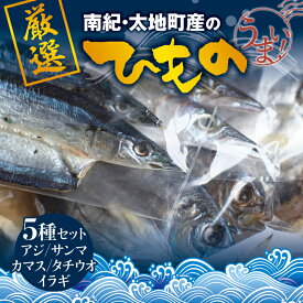 【ふるさと納税】 塩崎商店のイチオシ干物 5種セット 創業80年！地元で愛される人気の干物 Jセット（アジ開き×2枚、カマス開き×2枚、サンマ開き×2枚、タチウオみりん干し×100g、イラギみりん干し×100g／ひもの 詰め合わせ 干物 冷凍 あじの開き みりん干し 干物詰合せ