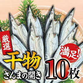 【ふるさと納税】 干物セット 満足の内容量！さんまの開き10枚セット ／ひもの 詰め合わせ 干物 さんま サンマ 秋刀魚