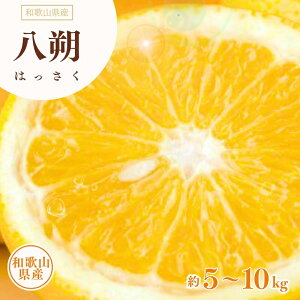 【ふるさと納税】 八朔 ( はっさく ) 約5kg / 約10kg サイズおまかせ 紀伊国屋文左衛門本舗 【2026年1月下旬〜2026年4月上旬頃に発送】(お届け指定日不可)