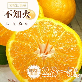 【ふるさと納税】 デコ不知火（デコポン） 約2.8kg 約5kg 秀品 サイズおまかせ 紀伊国屋文左衛門本舗 ※2026年2月上旬〜2026年4月上旬頃に順次発送予定(お届け日指定不可)