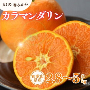 【ふるさと納税】 カラマンダリン 約2.8kg 約5kg / サイズおまかせ ※2026年4月上旬〜2026年5月上旬頃に順次発送予定(お届け日指定不可) 紀伊国屋文左衛門本舗