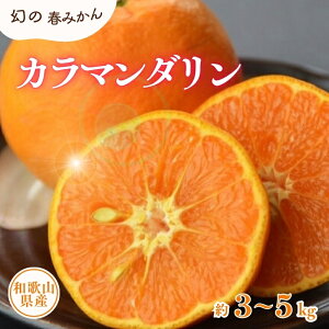 【ふるさと納税】 カラマンダリン 約3kg 約5kg / サイズおまかせ ※2026年4月上旬〜2026年5月上旬頃に順次発送予定(お届け日指定不可) 紀伊国屋文左衛門本舗