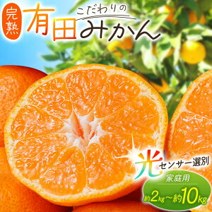 【ふるさと納税】 みかん こだわりの 有田みかん 約2kg〜10kg +250g(傷み補償分) 容量 配送時期 光センサー選別 家庭用 ご家庭用 みかん ミカン 果物 フルーツ 農家直送 有機質肥料100% 【11月 ・