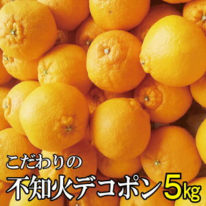 yӂ邳Ɣ[Łz _ZT[Iʁ^__ƒ^̃fR|sm 5kg L@엿100%@2026N2{菇\i͂wsj