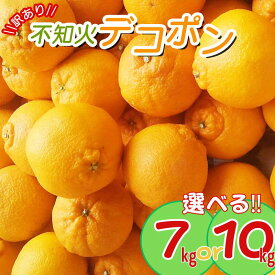 【ふるさと納税】【訳あり】 ＼光センサー選別／ちょこっと訳あり不知火デコポン 約7kg・10kg ご家庭用 先行予約 【2024年2月中旬〜4月中旬に順次発送予定（お届け日指定不可）】 訳ありデコポン ワケあり ワケアリ みかん オレンジ