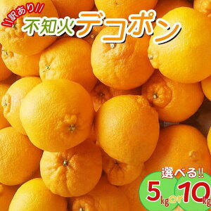yӂ邳Ɣ[Łzy󂠂z _ZT[Iʁ^傱Ɩ󂠂sm΃fR| 5kgE10kg ƒp s\ y2026N2{菇\i͂wsjz 󂠂fR| 