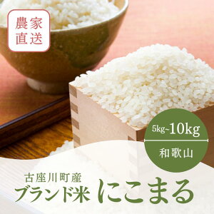 yӂ邳Ɣ[Łzߘa7NxY 鋫̒n炨͂ ݃t@[̂ ɂ܂ 5kg`10kgy2025N10{ȍ~z/   ɂ܂ 5kg 10kg  a̎R