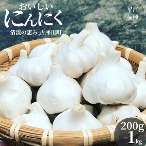yӂ邳Ɣ[Łz ɂɂ 200g~1kg ^ ɂɂ ɂɂ K[bN   ƒp Í쒬 a̎R