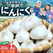 楽天市場】平戸ニンニクの通販