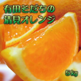 【ふるさと納税】 【2025年2月下旬～3月下旬順次発送予定】有田育ちの完熟清見オレンジ(ご家庭用)　約5kg