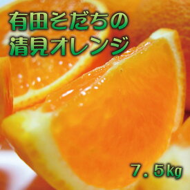 【ふるさと納税】 【2025年2月下旬～3月下旬順次発送予定】有田育ちの完熟清見オレンジ(ご家庭用)　約7.5kg