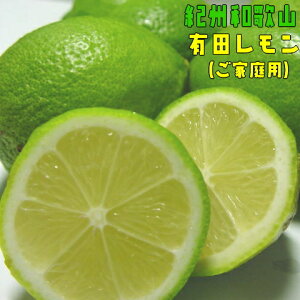 �y�ӂ邳�Ɣ[�Łz �I�B�a�̎R ���ƒ�p �L�c������ ��5kg�y�h���܁E���b�N�X�s�g�p�z�y�_�ƒ����z�y�󂠂�z �������w��s�� ��9�����{�`1�����{���ɏ�������