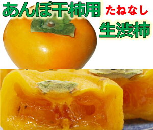 yӂ邳Ɣ[Łz yFGRt@[}[zۊ`pa`i˂Ȃ`j 14.5`15kg-APy2025N10{琏(tws)z
