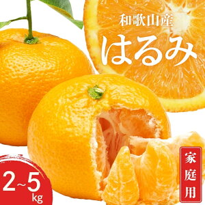 yӂ邳Ɣ[Łz ys\z󂠂 ƒp ͂ a̎R Lc S`3LTCY 傫C 2kg / 3kg / 5kg y1{`3{܂łɏ\z / ݂ t[c ʕ   k