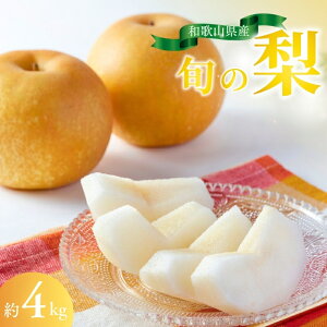 yӂ邳Ɣ[Łz ys\tza̎RY̔ 4kg i10`13ʓj2025N8{9{܂łɏ\i͂wsjԌ K L e Â 