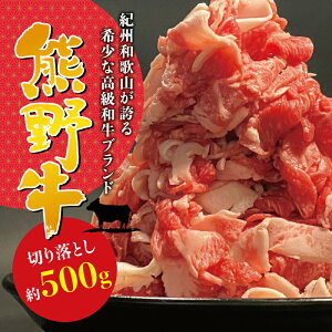 yӂ邳Ɣ[Łz 󏭘a F싍ؗ 500g ① ( јa F싍 Y a XCX  XCX   ؂藎Ƃ )