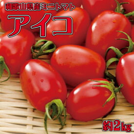 【ふるさと納税】 和歌山産ミニトマト「アイコトマト」約2kg（S・Mサイズおまかせ）