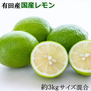 yӂ邳Ɣ[Łz LcŸSY3kg iTCYj2025N10{`2026N4{ɏ\i͂wsj