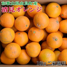 【ふるさと納税】 【訳あり・ご家庭用】和歌山由良町産の濃厚清見オレンジ約10kg　※2025年2月中旬～2025年2月下旬頃より順次発送（お届け日指定不可）