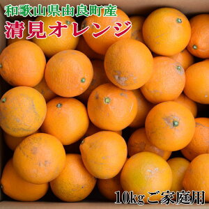 yӂ邳Ɣ[Łz y󂠂Eƒpza̎RRǒY̔ZIW10kg 2026N2{`2026N2{菇i͂wsj