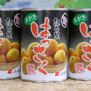yӂ邳Ɣ[Łz a̎RY蔍ʋl450g×8ʓ聃2024N5`