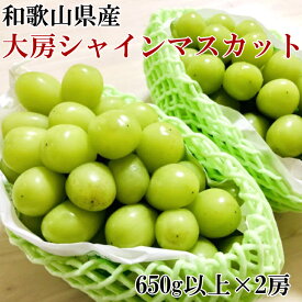 【ふるさと納税】【数量限定】和歌山県産大房シャインマスカット2房入り（1房650g×2房）　※2024年9月初旬から9月下旬頃順次発送