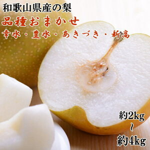 yӂ邳Ɣ[Łz  [ʌ] a̎RY̗ yIׂeʁz y2kg 4kgz (i킨܂) 2026N8{`2026N9{ɏ\ i͂wsj / a̎R ʕ Ȃ i