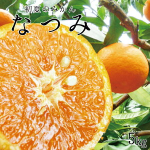 yӂ邳Ɣ[Łz Ă݂̂ Ȃ5kgy\z2026N4{`2026N4{ɏ\(͂ws)