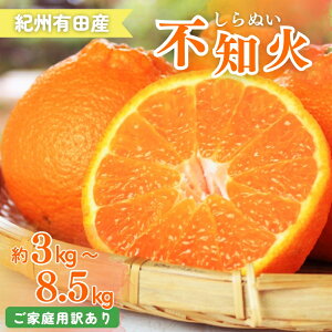 yӂ邳Ɣ[Łz yƒp󂠂zIBLcYsm(ʂ) 3kg`8.5kg mfR|Ɠiny\z2026N2{`2026N3{ɏ\(͂ws) / sm 