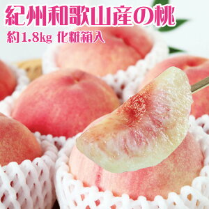 【ふるさと納税】 紀州和歌山産の桃 約1.8kg 化粧箱入 ※2026年6月下旬頃〜2026年8月上旬頃順次発送(お届け日指定不可)