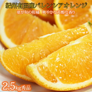 yӂ邳Ɣ[Łz Gi 󏭂ȍYoVAIW 2.5kg 2026N6{`7{i͂wsj