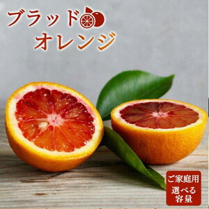yӂ邳Ɣ[Łz󏭂Ȋk!IBLcYubhIWIׂe 3kg E5kgyƒpz2026N3{`3{ɏ (͂ws)