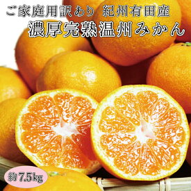 【ふるさと納税】 【ご家庭用訳アリ】紀州有田産濃厚完熟温州みかん　7.5kg　※2024年11月下旬頃～2025年1月下旬頃に順次発送予定(お届け日指定不可)