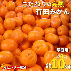 【ふるさと納税】農家直送 【家庭用】こだわりの有田みかん 約10kg 容量・発送時期 選べる【4kg・8kg・10kg / 11月発送・12月発送・2025年1月発送から選べます】（日付指定不可） 有機質肥料100% みかん 甘い 温州みかん 選べる 先行予約 フルーツ 果物 人気