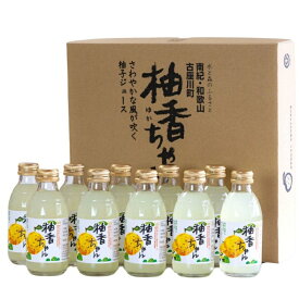 【ふるさと納税】 ストレートドリンク柚香ちゃん（10本入り） 柚子 ユズ ゆず 柚子ジュース ゆずジュース