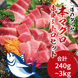 【ふるさと納税】 【配達日指定不可】【容量・発送時期が選べる】本マグロ（養殖）トロ＆赤身セット 240g 500g 1350g 3kg / まぐろ 鮪 赤身 トロ 中トロ 大トロ 刺身 冷凍 海鮮 魚貝 魚 柵 古座川町