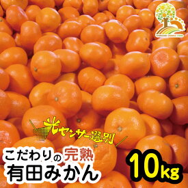 【ふるさと納税】＼光センサー選別／農家直送 こだわりの有田みかん 約10kg 【家庭用】【11月・12月・2025年1月発送から選べます】（日付指定不可） 有機質肥料100% 有田みかん みかん ミカン 蜜柑 柑橘 果物 フルーツ 甘い 温州みかん 先行予約