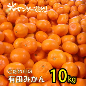 楽天市場 ふるさと納税 みかんの通販