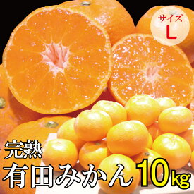 楽天市場 みかん 10kg Lサイズの通販 楽天市場 みかん 10kg Lサイズの通販