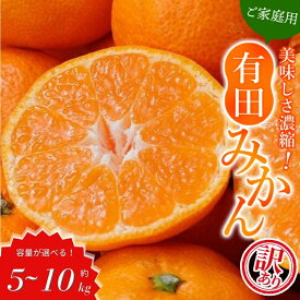 【ふるさと納税】 訳あり みかん 有田みかん 5kg 7.5kg 10kg 選べる容量 数量限定 家庭用 ご家庭用 訳アリ みかん ミカン 温州みかん 柑橘 果物 くだもの フルーツ サイズ混合 人気 7000円 10000円 14000円 ※2025年11月中旬～順次発送予定
