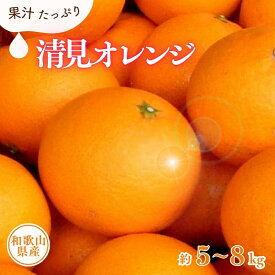 【ふるさと納税】 清見オレンジ 約5kg 約8kg (果実サイズおまかせ) 紀伊国屋文左衛門本舗【2027年2月中旬〜4月下旬頃発送予定】(お届け日指定不可)