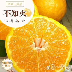 【ふるさと納税】 デコ不知火 約3kg 約5kg / サイズおまかせ ※2026年2月上旬〜4月上旬頃に順次発送予定(お届け日指定不可) 紀伊国屋文左衛門本舗