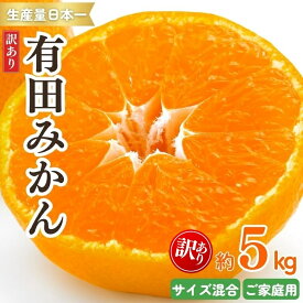 【ふるさと納税】 訳あり みかん 紀州有田みかん 約5kg ご家庭用 サイズ混合 みかん ミカン フルーツ 果物 くだもの 温州みかん 訳あり 家庭用 旬 産地直送 予約 和歌山 ※2025年11月下旬～2026年1月中旬頃より順次発送予定 ※北海道・沖縄・離島配送不可【sml130A】