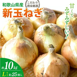 yӂ邳Ɣ[Łza̎RYVʂ˂10kg@LTCY 25@_ƌIIy2026N4`6{ɔ\z | lC  ܂˂ ʂ˂ ʔK ^}lM IjI X[v 