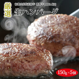 【ふるさと納税】熊野牛 生ハンバーグ 5個