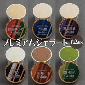 【ふるさと納税】 プレミアムジェラート 詰め合わせセット(6種類×2個) アイスクリームセット 100mlカップ ゆあさジェラートラボラトリー